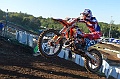 _ROB6766 (Copy)